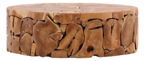 Oval Teak Fragment Coffee Table