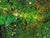 Green Large 1981 Signed "G. Dubois Abstract Expressionist Oil on Canvas – Heavy Impasto For Sale - Image 8 of 16