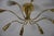 Metal Mid-Century Brass Sputnik Chandelier, Germany, 1950s For Sale - Image 7 of 8