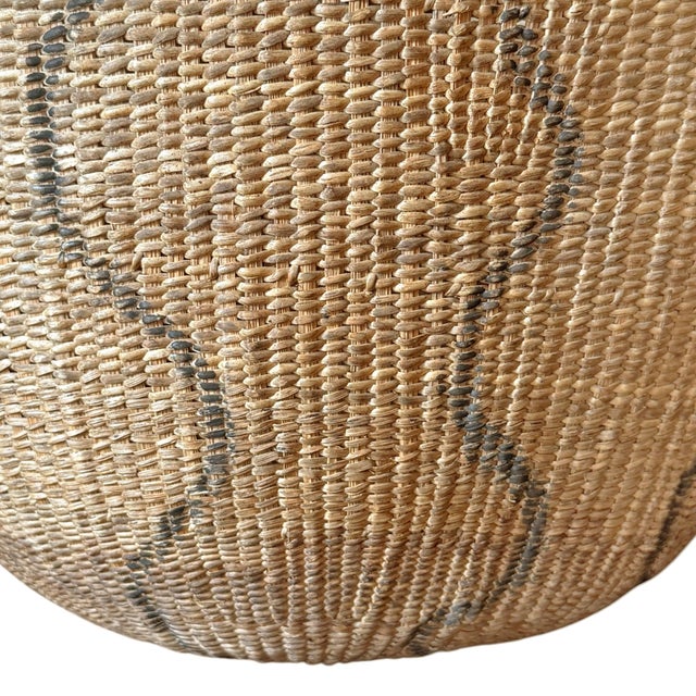 Yanomami Gathering Basket For Sale - Image 11 of 13