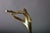 1980s Vintage Brass Musician Sculpture, Abstract Art Deco Style Figure, Travertine Base, 1980s For Sale - Image 5 of 10