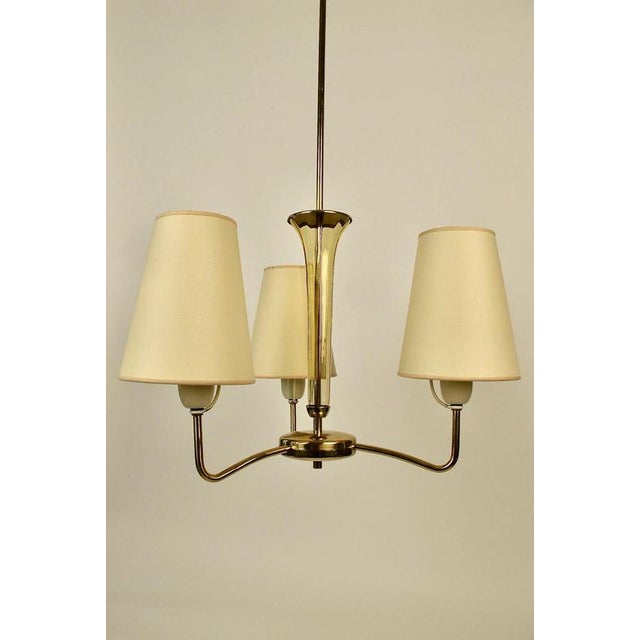 Modern 3-Arm Chandelier in Brass and Glass by Rupert Nikoll, Austria, 1950s For Sale - Image 3 of 15