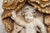 Cherub Angel Within a Baldachin, 18th Century, Portuguese Baroque For Sale - Image 9 of 15