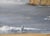 Mid-Century Modern "Sea Cliff" Mid Century Modern Coastal Cliff Seascape in Acrylic on Masonite by Farren Jensen For Sale - Image 3 of 9