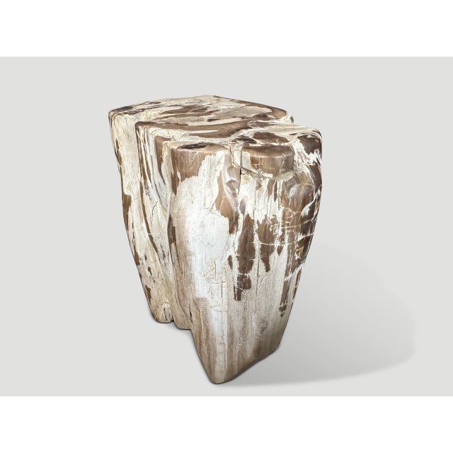 Andrianna Shamaris Ancient Sculptural Petrified Wood Side Table For Sale - Image 10 of 18