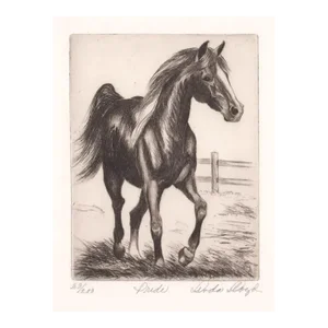 1980s Linda Lloyd Equestrian Etching