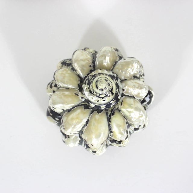 Mid 20th Century Vintage Shell Trinket Box For Sale - Image 5 of 10