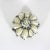 Mid 20th Century Vintage Shell Trinket Box For Sale - Image 5 of 10