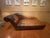 Sam Moore Sam Moore Leather Chaise For Sale - Image 4 of 5
