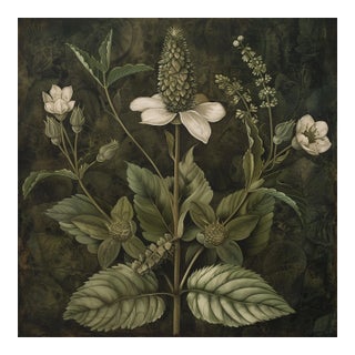 18" X 18" Original Fine Art Botanical Print - Dark Green Grisaille For Sale