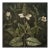 18" X 18" Original Fine Art Botanical Print - Dark Green Grisaille For Sale