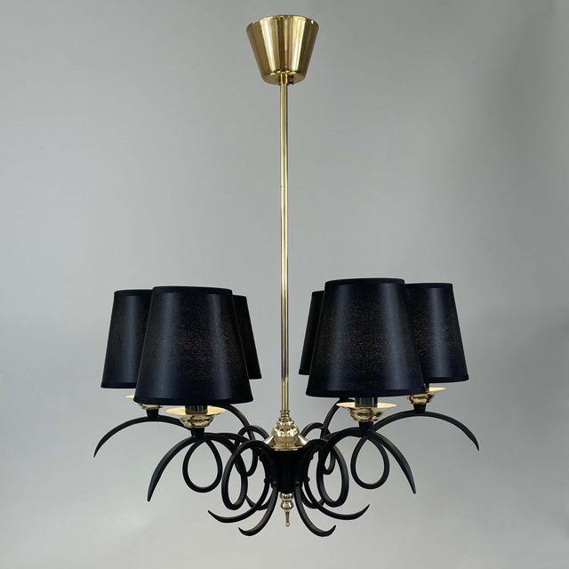 1950s Black Cast Iron and Brass Chandelier, France, 1950s For Sale - Image 5 of 17