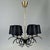 1950s Black Cast Iron and Brass Chandelier, France, 1950s For Sale - Image 5 of 17
