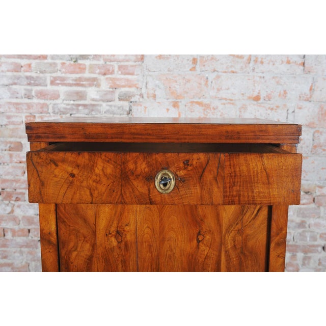 Czech Biedermeier Walnut Veneer Cabinet, 1820s For Sale - Image 9 of 16