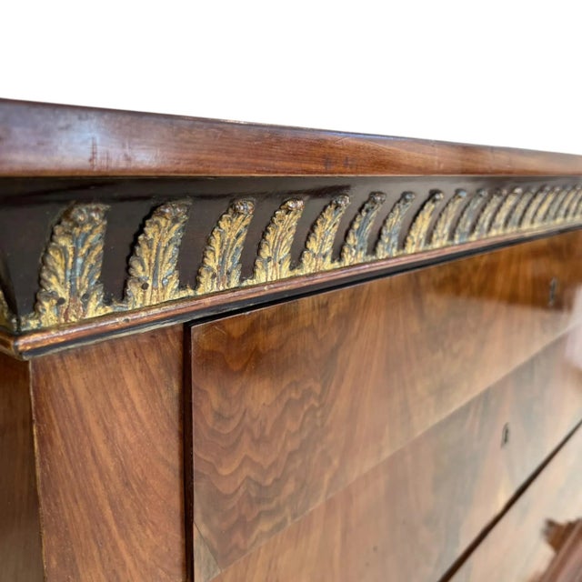 Brown Single 18th Century Mahogany Chest For Sale - Image 8 of 12