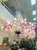 Mid-Century Modern Monumental Elaborate Murano Chandelier For Sale - Image 3 of 9