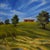 Contemporary Landscape Oil Painting "Fields, Red Barn" by Teresa DiMarco For Sale