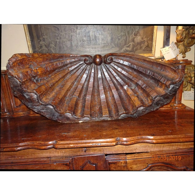 19th Century Walnut Carved Shell For Sale - Image 12 of 12
