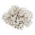 Natural Cluster Coral Specimen Coastal Home Decor For Sale