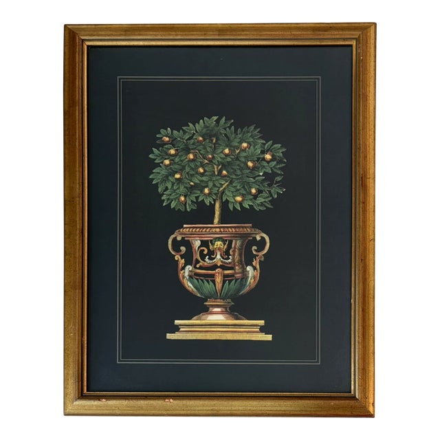 Vintage Orange Tree in Urn Lithograph Under Glass Gold Frame Reproduction For Sale