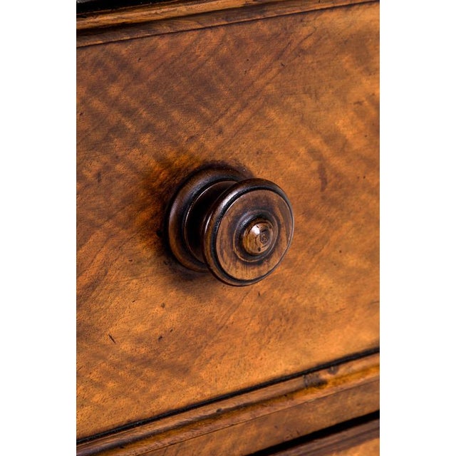 English Mahogany Chest of Drawers For Sale - Image 11 of 14