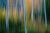Mint Images, Blurred Motion, a Forest of Aspen Trees in Autumn, Abstract, Photographic Paper For Sale