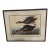 Late 19th Century Blue Winged Teal by Robert Havell Plate Bird Framed 1836 For Sale