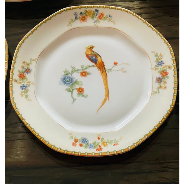 Set of 10!pcs antique porcelain plates dessert with birds of paradise. Sextagonal shape, porcelain made in Checkoslovakia.