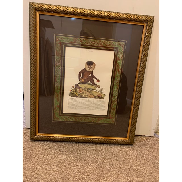 Vintage English Midcentury Framed Animal Print Chairish