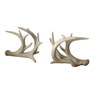 Vintage Faux Horn Bookends- a Pair For Sale