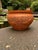 Large Dragon Terracotta Pot Garden Planter For Sale - Image 6 of 12
