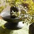Early 21st Century Maidenhair Drop-Ins, Set Of 3 For Sale - Image 5 of 5