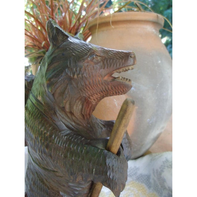 Antique Bear from the Black Forest, 1890s For Sale - Image 3 of 12