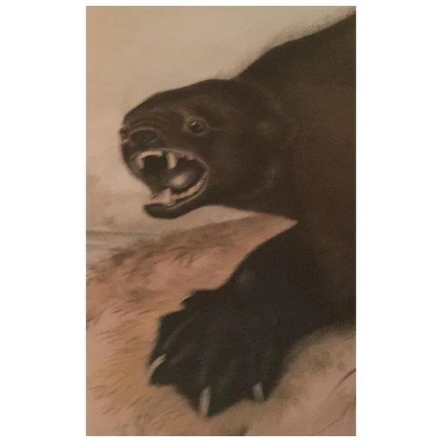 Antique 19th Century John James Audubon Large Folio Hand Colored Lithograph Wolverine Philadelphia 1843 Plate 26 For Sale In New York - Image 6 of 10