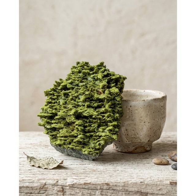 A sculptural natural Turkish Epidote epimorph specimen selected for its rare hollow boxwork architecture, pistachio-green...