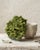 A sculptural natural Turkish Epidote epimorph specimen selected for its rare hollow boxwork architecture, pistachio-green...