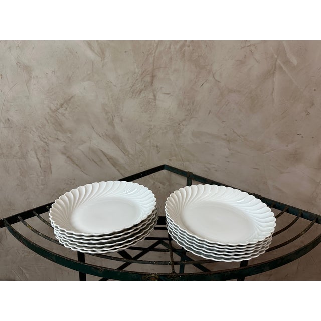 Dinner Service in Limoges Porcelain from Haviland, 1950s, Set of 49 For Sale - Image 10 of 18