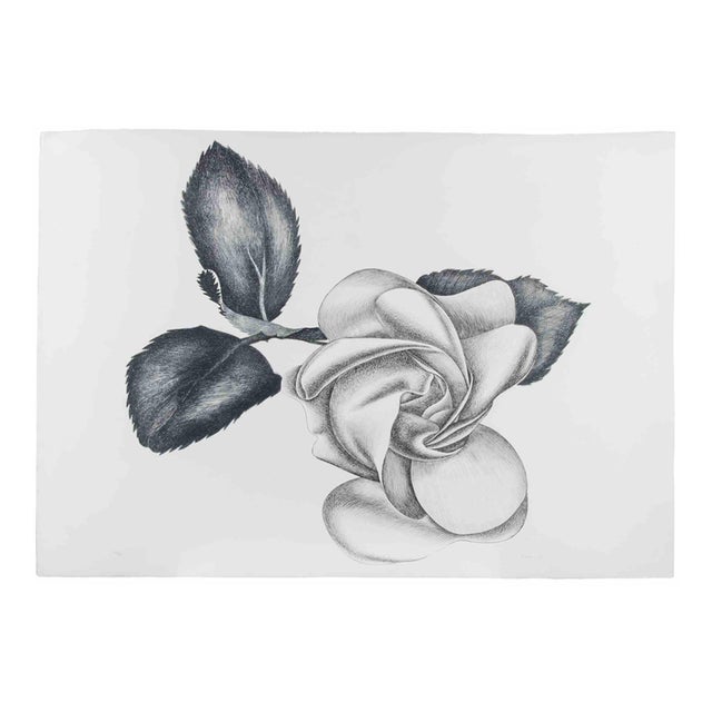 Giacomo Porzano, Black Rose, 1972, Etching For Sale