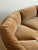 The Curved Perennial For Sale - Image 14 of 18