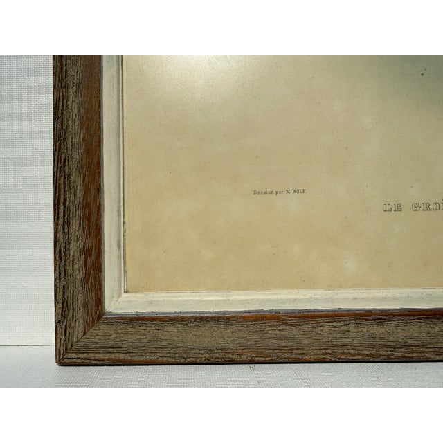 Cream Mid 20th Century Framed Print of Greenland Falcon, Joseph Wolf, From "Traité De Fauconnerie" For Sale - Image 8 of 14