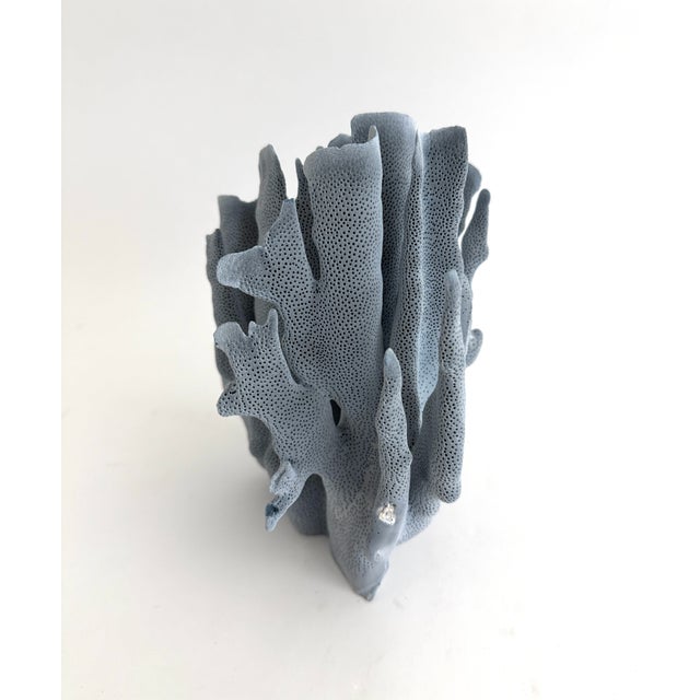 Natural Blue Coral Specimen For Sale - Image 4 of 6