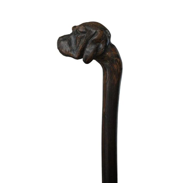 Antique Cane Carved with Dogs Head, 1900 For Sale - Image 5 of 8