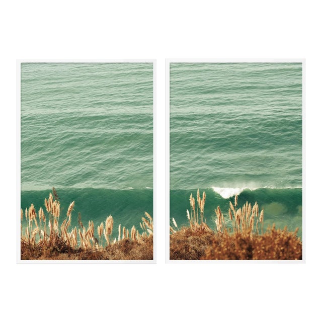 Pampas Diptych by Christine Flynn in White Framed Paper, Large Art Print - A Pair For Sale