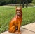 Italian Terracotta Boxer Dog Statue c.1960s For Sale - Image 17 of 17