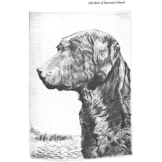 "The Waterfowl Gunner's Book: An Anthology" 1979 Williamson, F. Phillips For Sale - Image 9 of 13