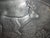 Lovely scenic Pewter Platter with a Roe Deer walking through the forest with Mountains in the background. Pinecone boughs...