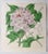 William Fitch, Botanical Prints Curtis. 1838, Paper For Sale - Image 6 of 10
