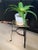 Antique Brass Fireplace Plant-Stand Trivet For Sale - Image 4 of 4
