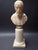 Stone 19th Century Italian Antique Carved Alabaster Grand Tour Portrait Bust of Michelangelo Buonarroti For Sale - Image 7 of 9