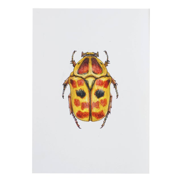 Juris Utans, Reddish Yellow Beetle, 2021, Mixed Media on Paper For Sale